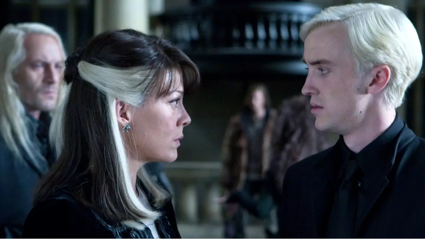 Harry Potter HBO series officially casts The Malfoys