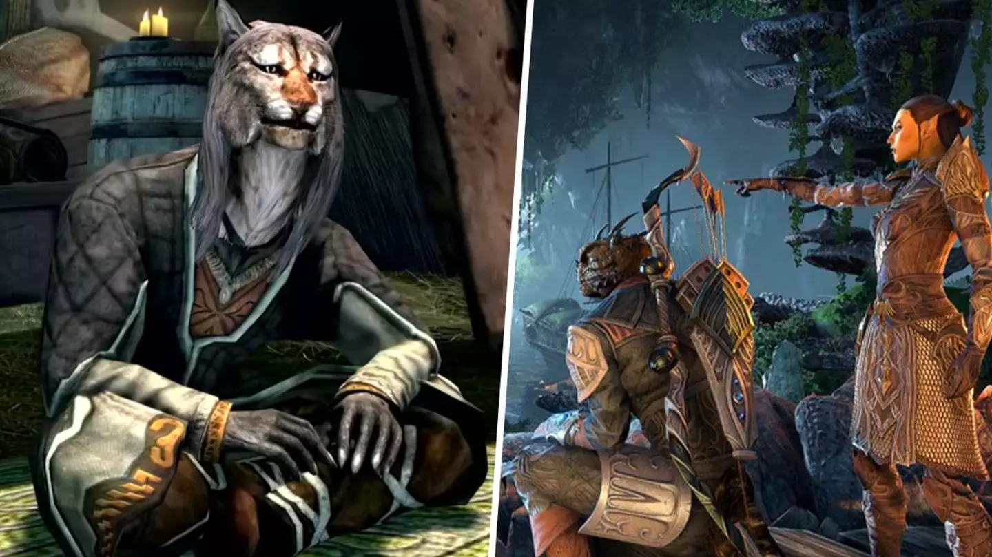 Elder Scrolls 6 first gameplay teaser reassures fans