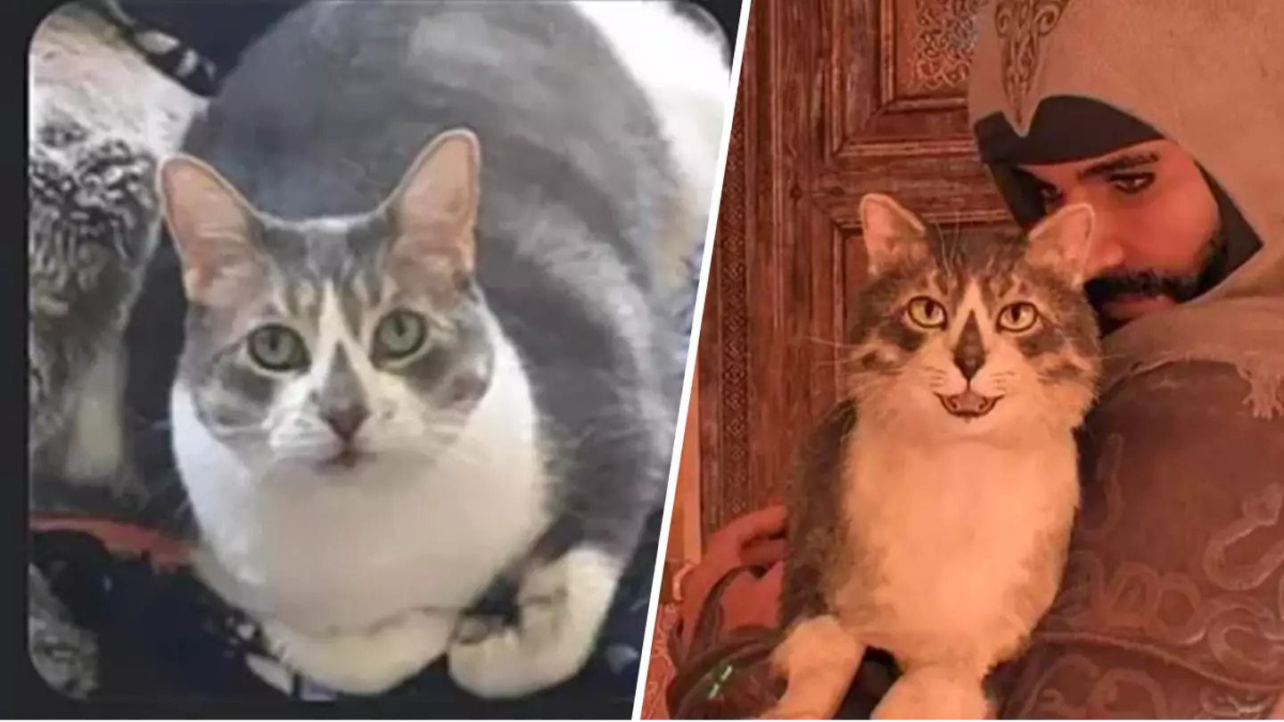 Assassin's Creed Mirage cat is a tribute to a kitty who passed away