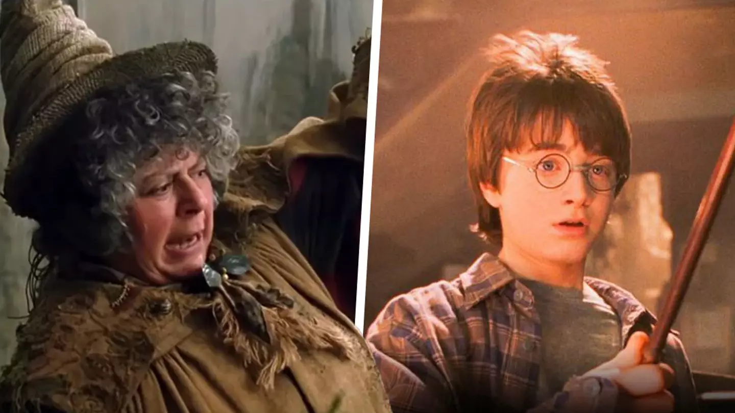 Harry Potter new adaptation announced, much to the delight of fans