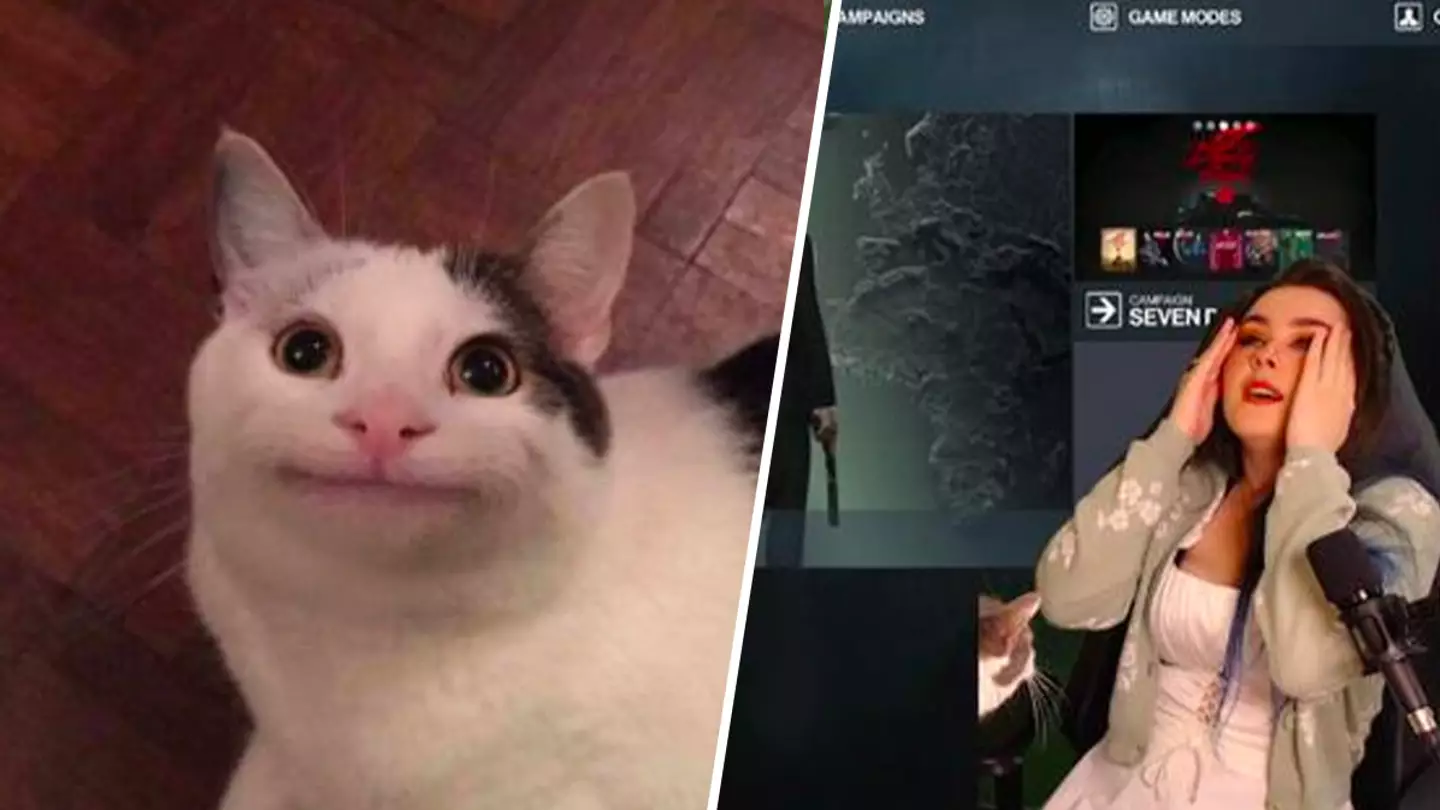 Twitch streamer heartbroken as cat erases her Hitman 3 save data