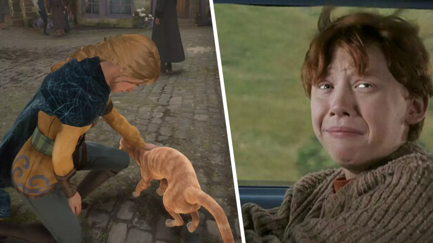 Hogwarts Legacy's disturbing cat secret has ruined the game