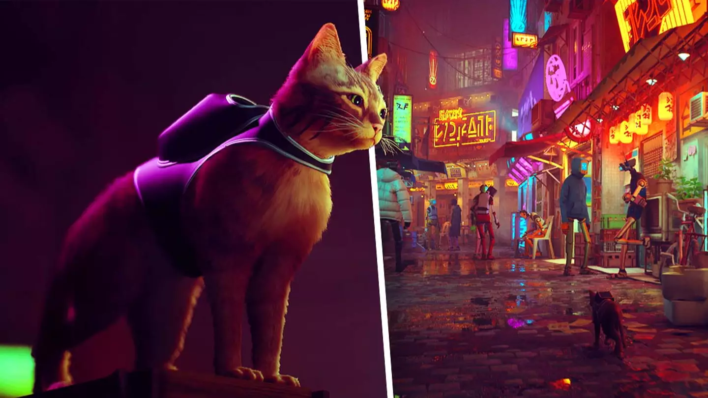 PS5 Cat Sim 'Stray' Finally Has A Release Window, And It's So Soon