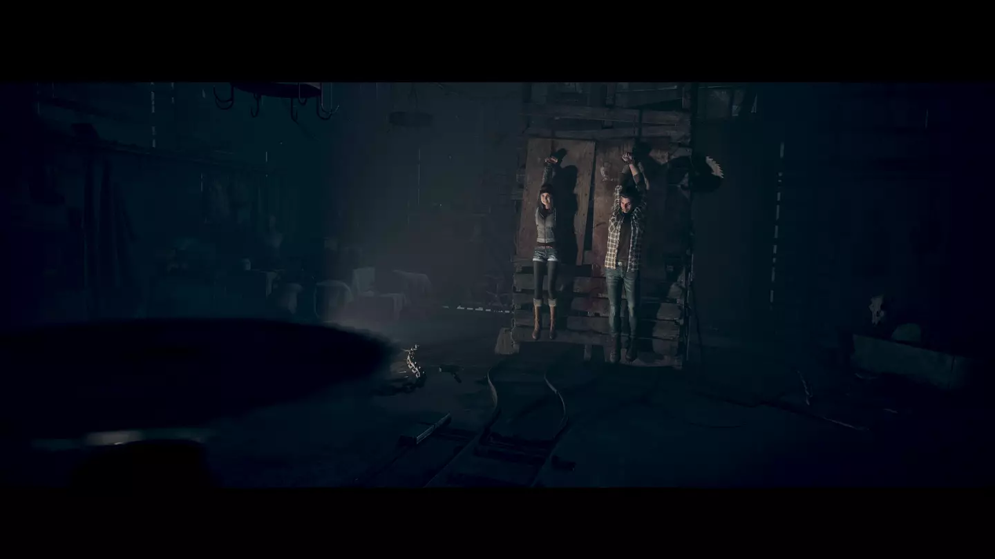 Until Dawn /