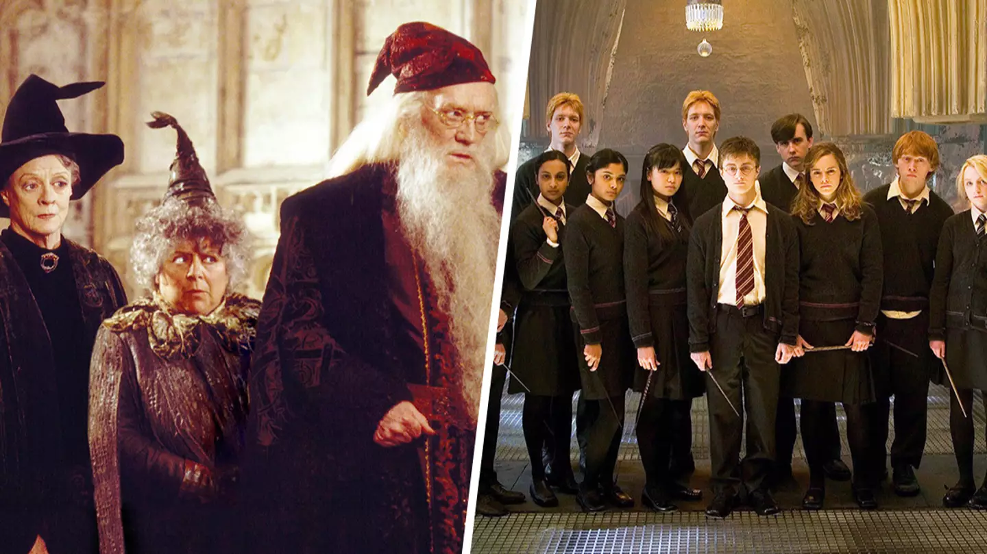 Original Harry Potter star wants to return as a professor in HBO reboot