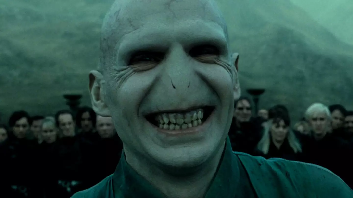 Harry Potter Has a Voldemort Problem That Viewers 'Will Never Forgive'