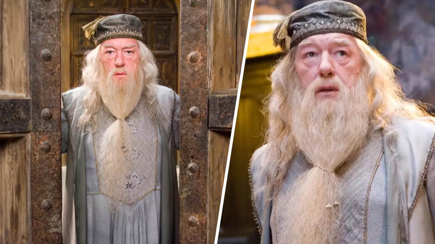 Harry Potter HBO reboot has found its Dumbledore, apparently