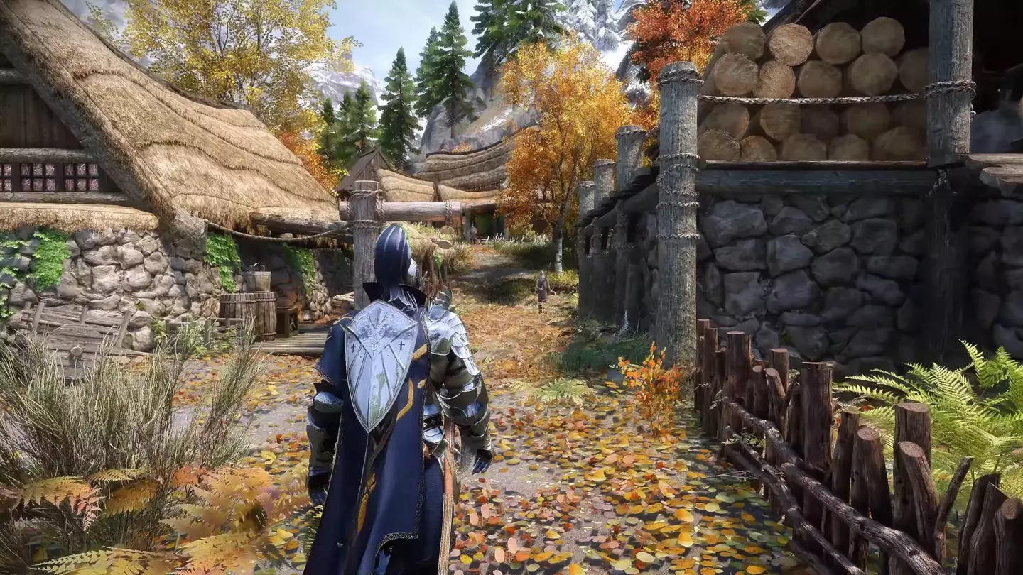 Elder Scrolls 6 trailer released to appease the fans, ironically
