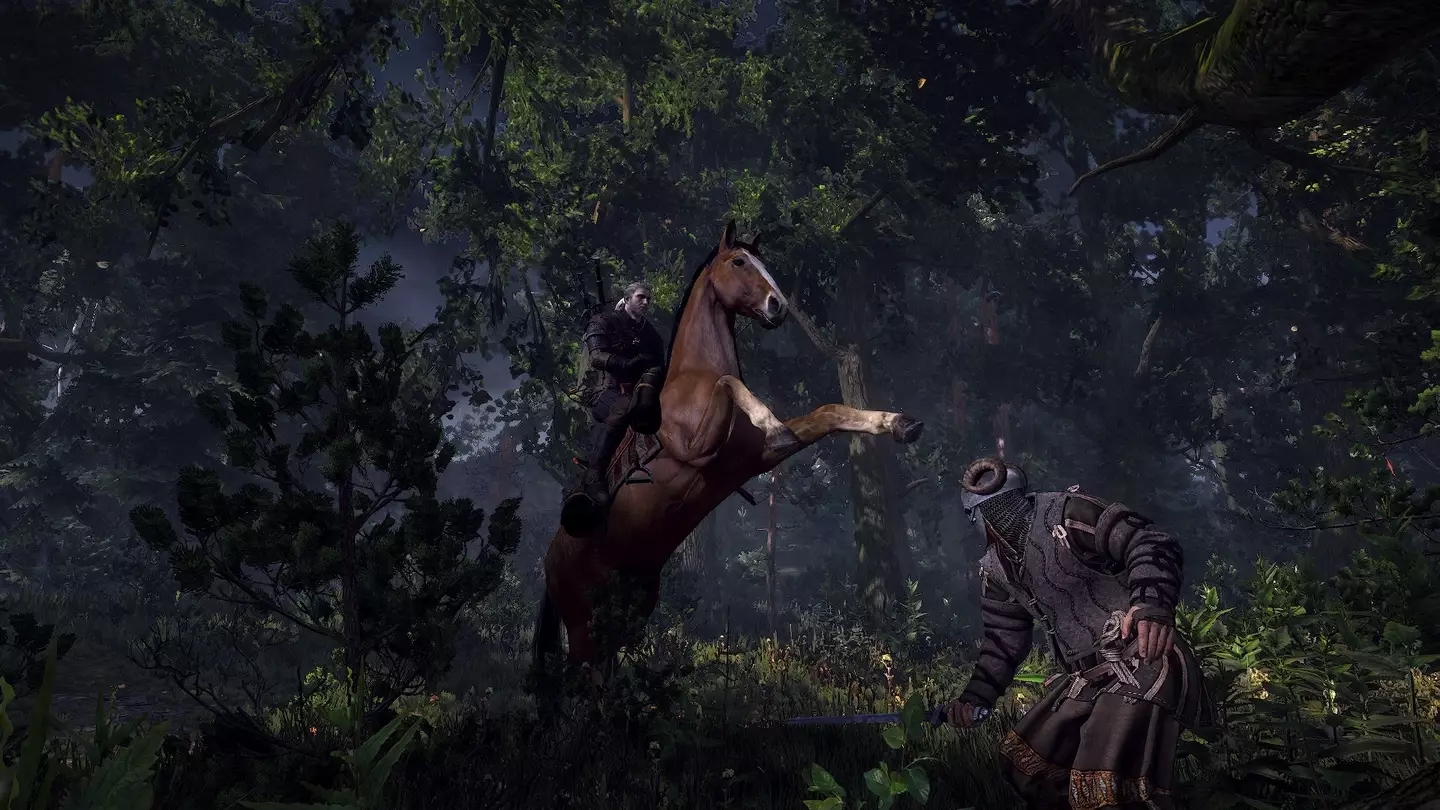 Witcher 3