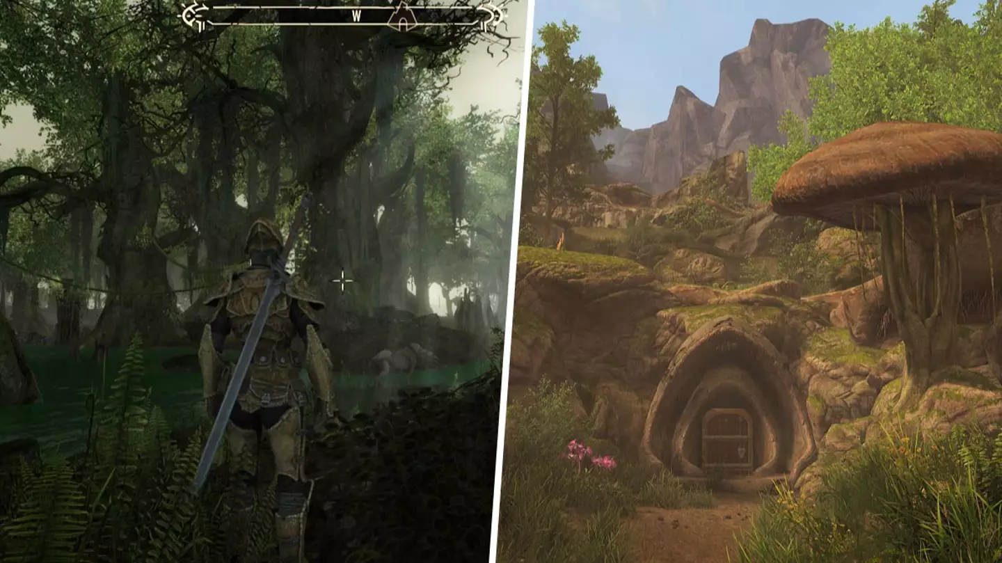 The Elder Scrolls 6 can wait, we're getting the remake we've been waiting for