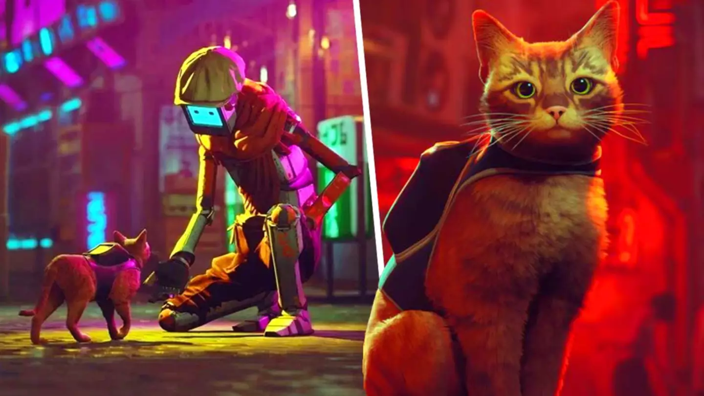 Stray is being turned into an animated movie - or meowvie, if you prefer