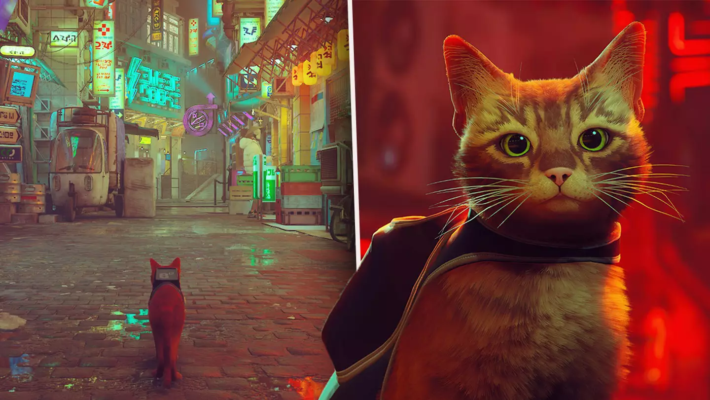 'Stray' Already Has A Staggering Number Of Players On Steam