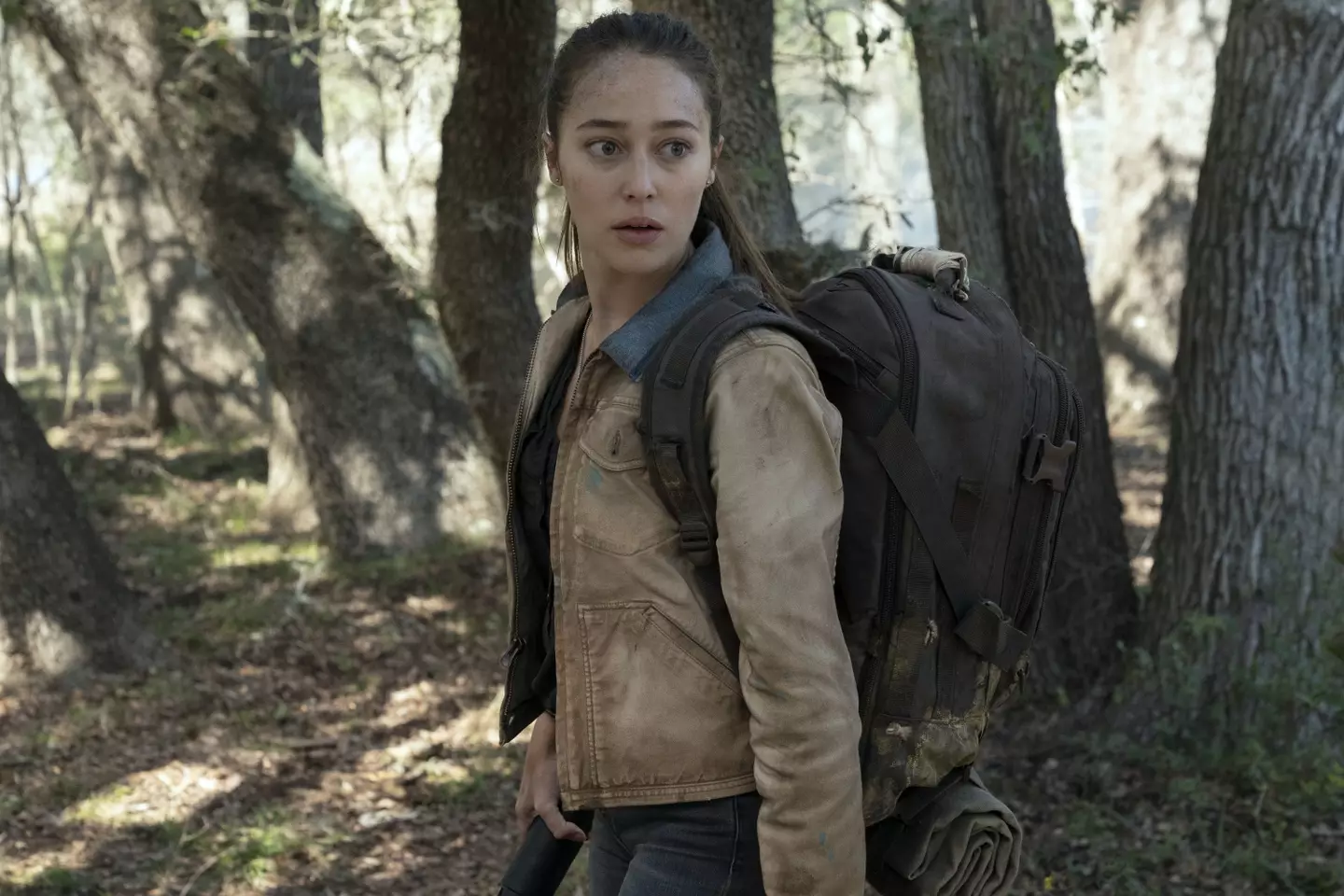Credit / AMC