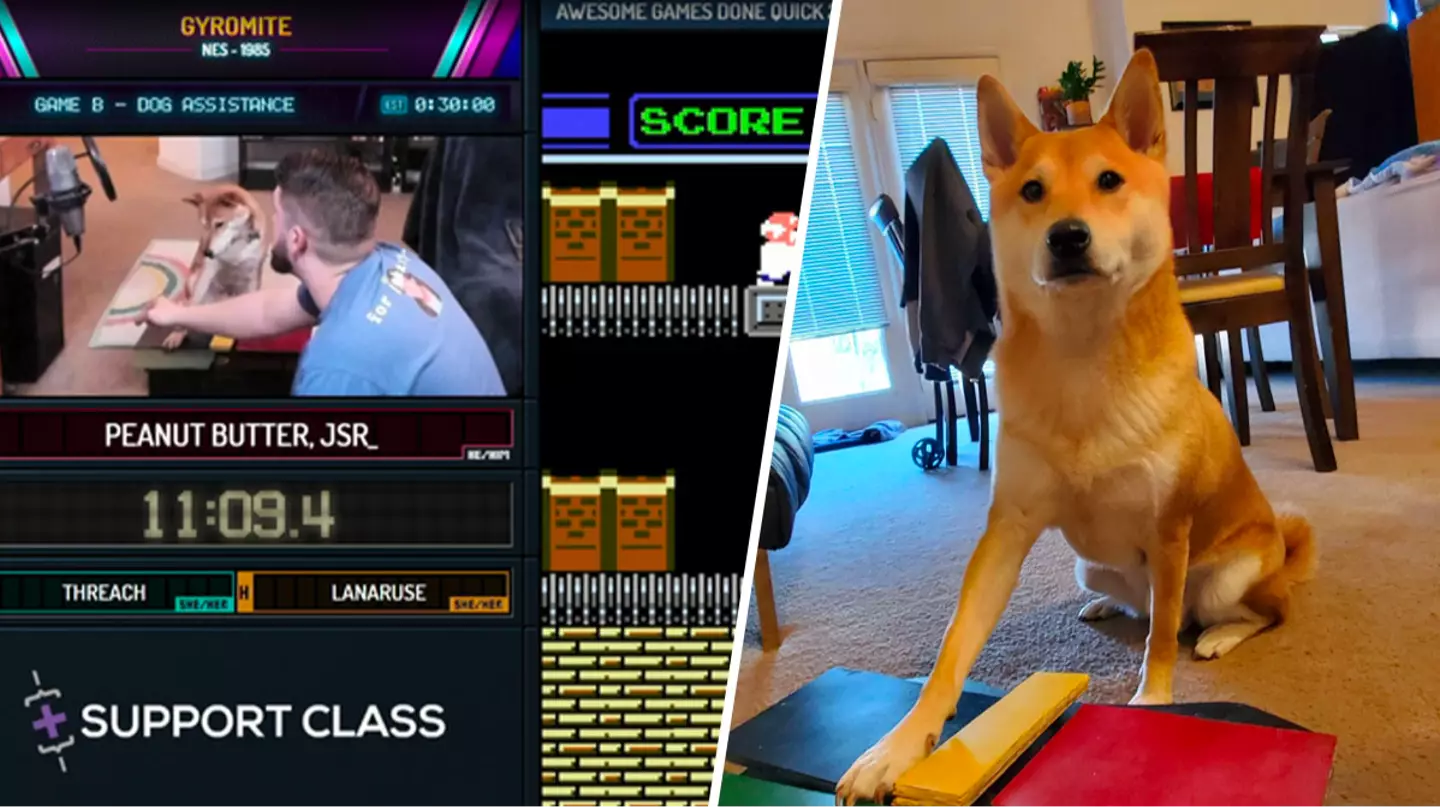 Very Good Dog completes charity speedrun for GDQ