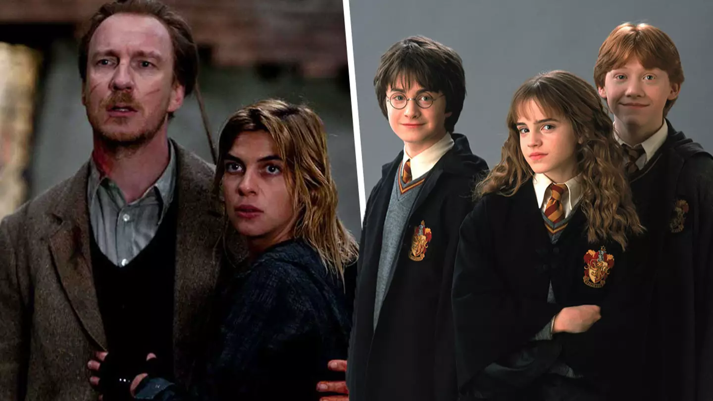 Harry Potter star concerned over recast characters in reboot
