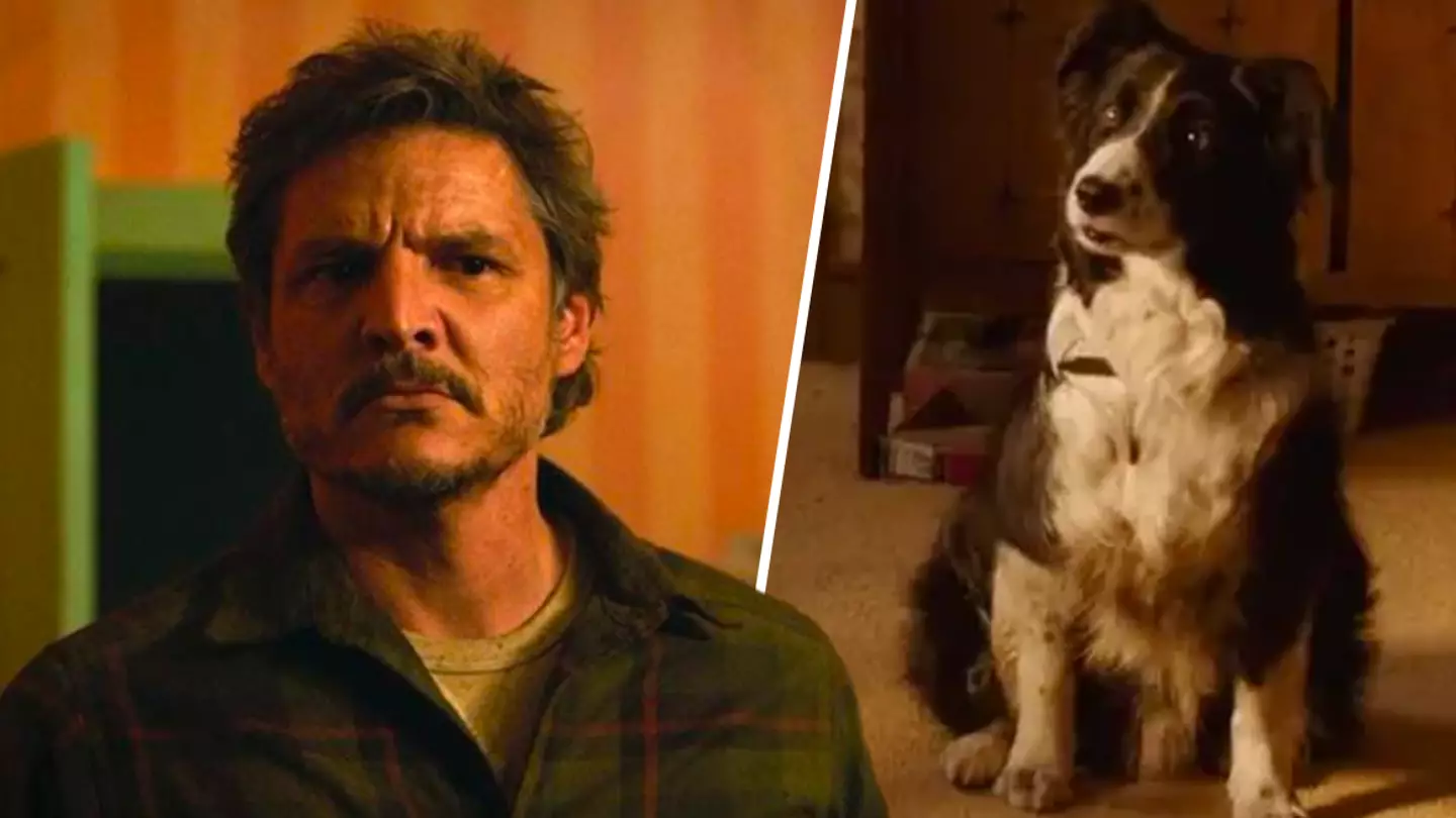 The Last Of Us' premiere's dog hailed as MVP of episode one