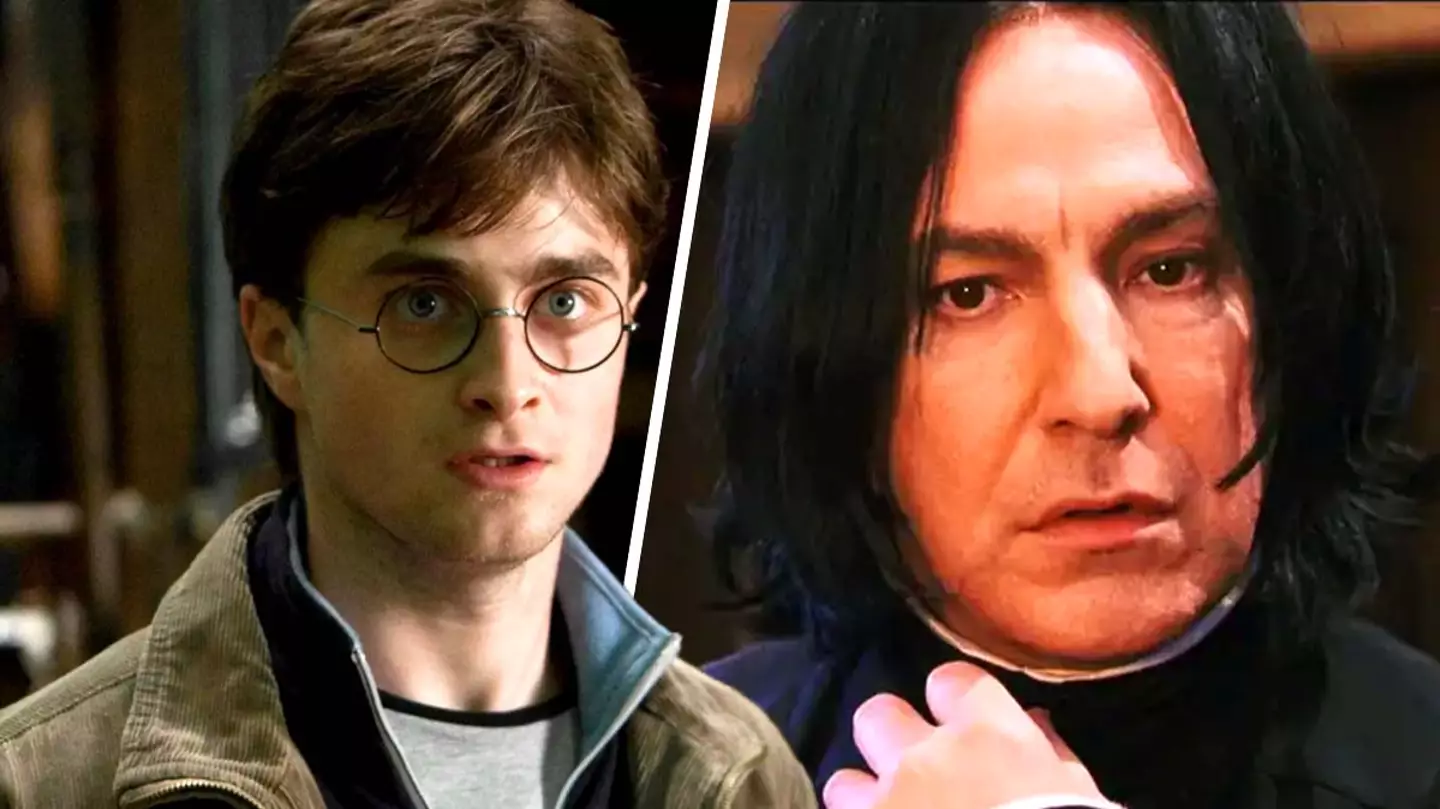 Harry Potter TV reboot should bring back original cast to play professors, fans say