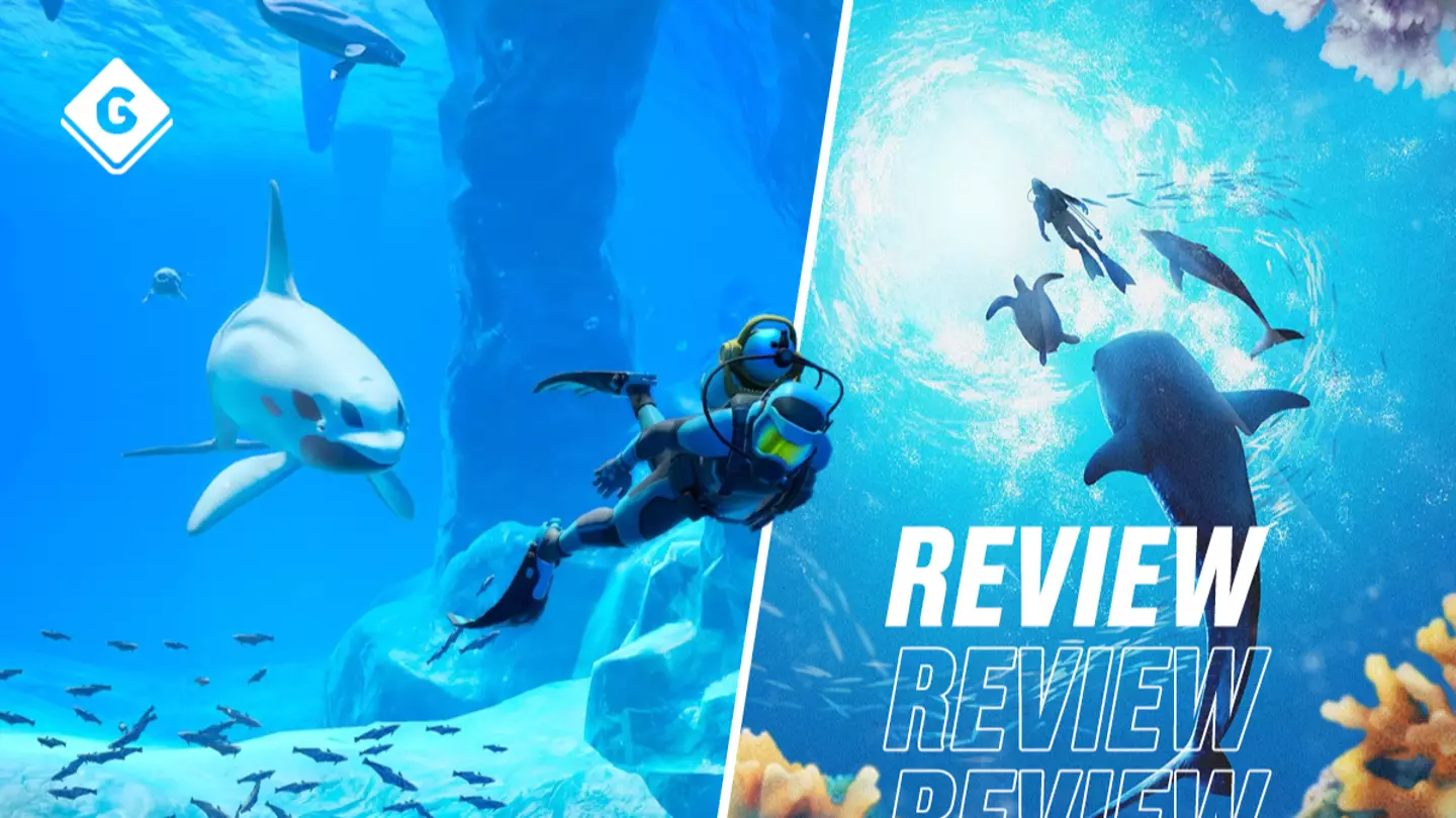 Endless Ocean Luminous review: Serene submersion that takes a dive
