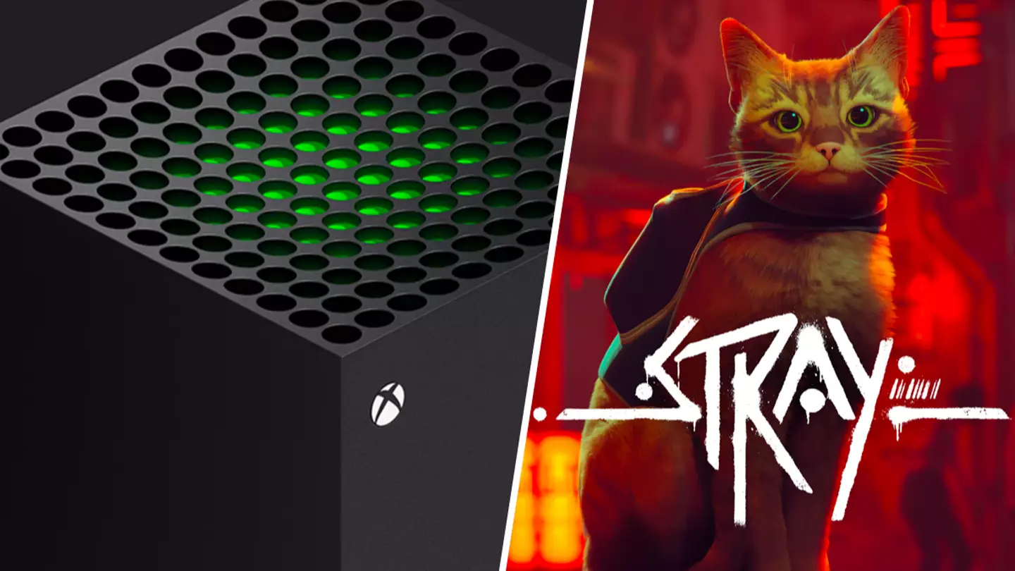 PlayStation's beloved cat sim Stray coming to Xbox, rating confirms