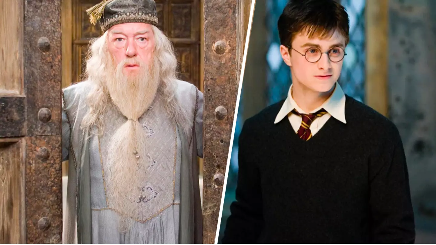 Daniel Radcliffe and Harry Potter alum pay tribute to Michael Gambon