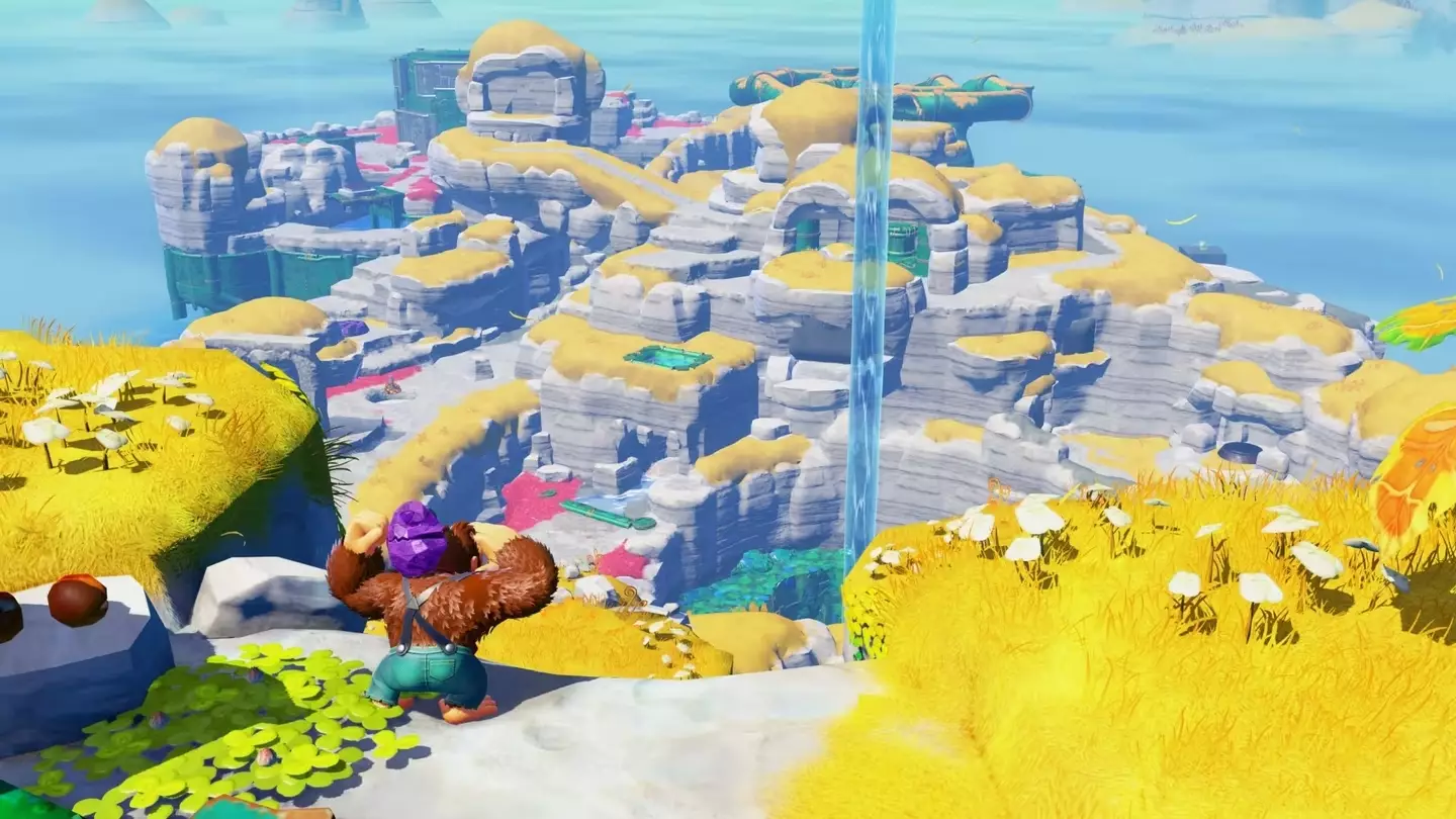 Donkey Kong Bananza, Nintendo