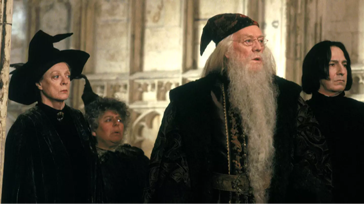 Harry Potter HBO official casting announcement confirms our Hogwarts professors