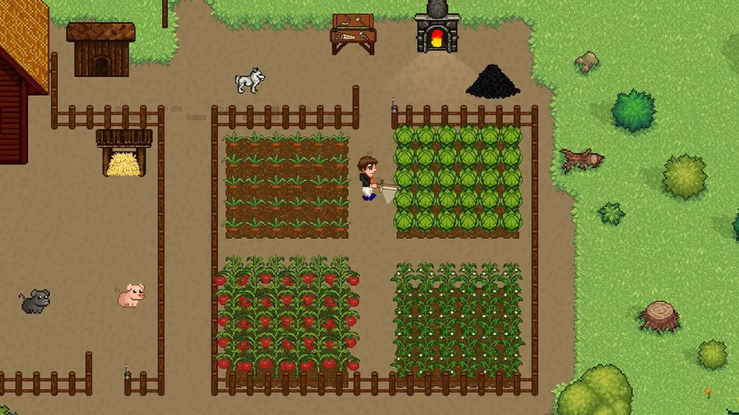 Valheim Meets Stardew Valley in New RPG You Can Try Free Soon