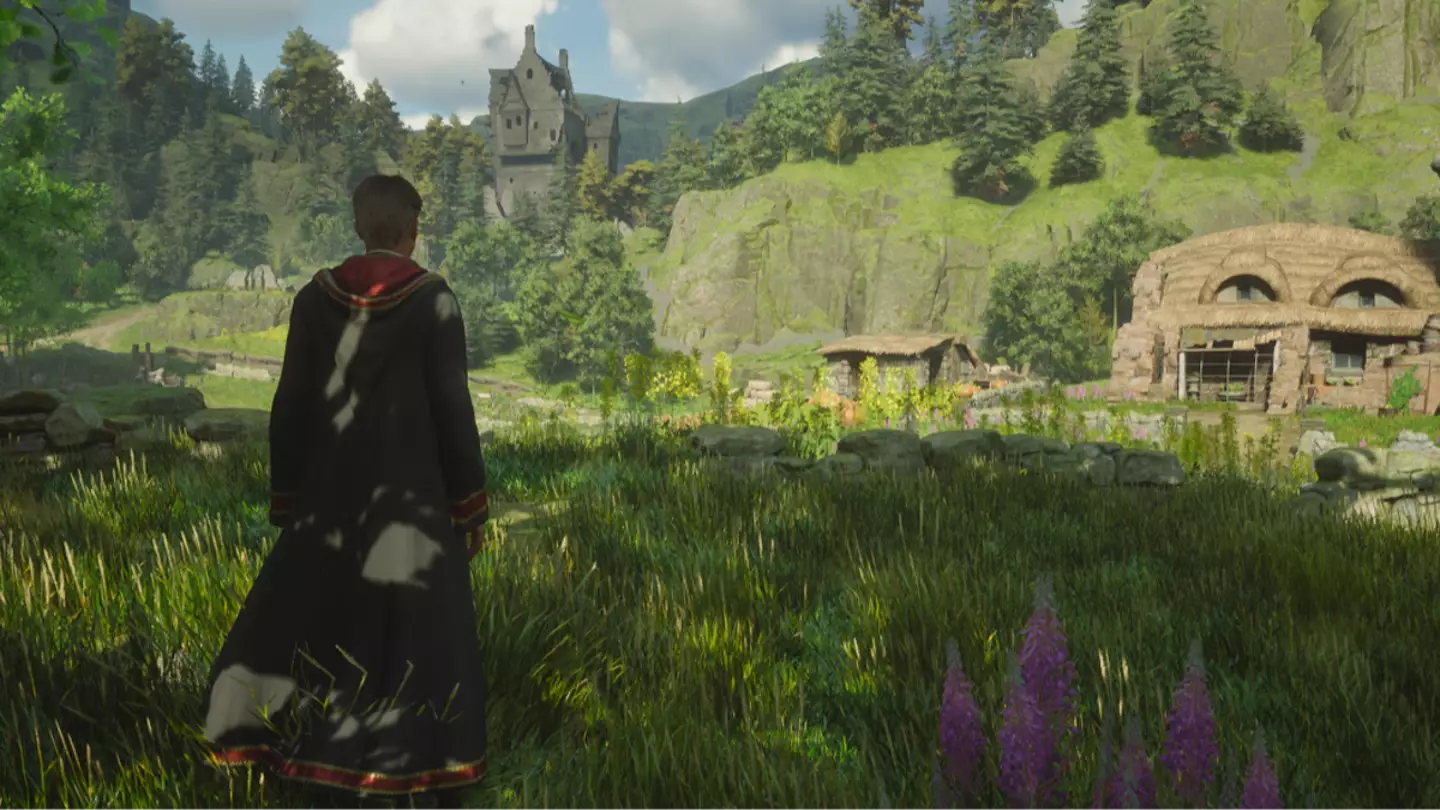 Hogwarts Legacy Ministry of Magic DLC Rallied Behind By Gamers