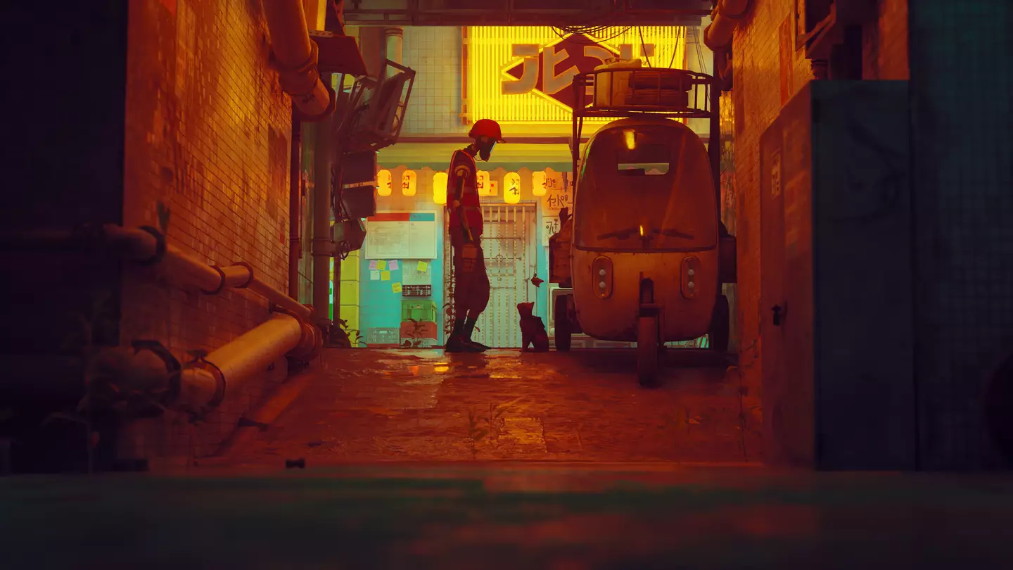 Stray /