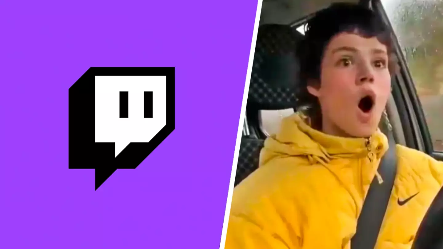 Twitch streamer banned for seemingly running over a dog mid-broadcast