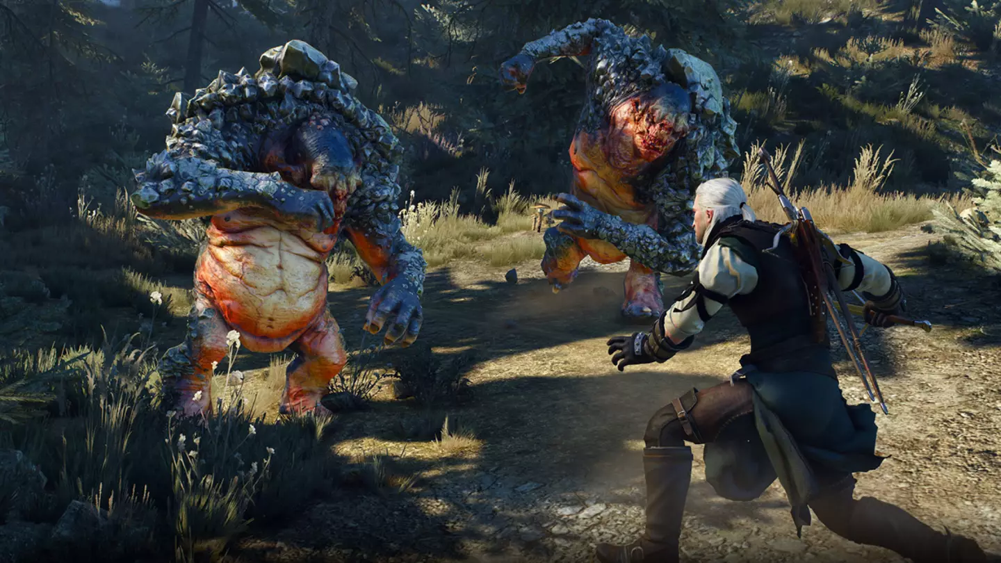 Witcher 3