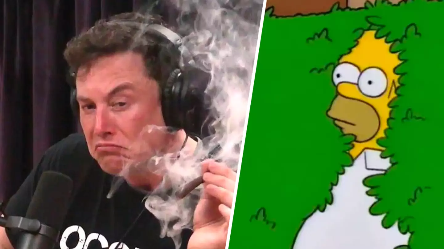 Twitter employees resign en masse in response to Musk's latest request