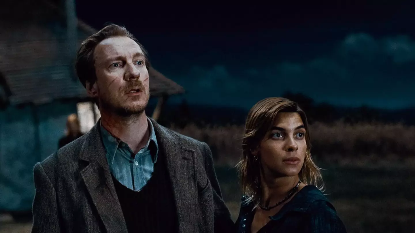 Harry Potter fans divided over Remus Lupin casting for TV series