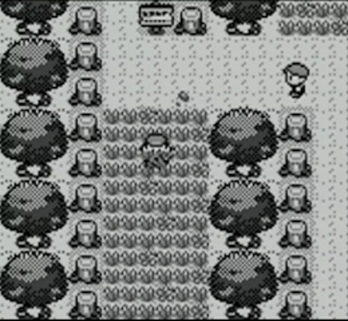 Pokémon Red and Blue /