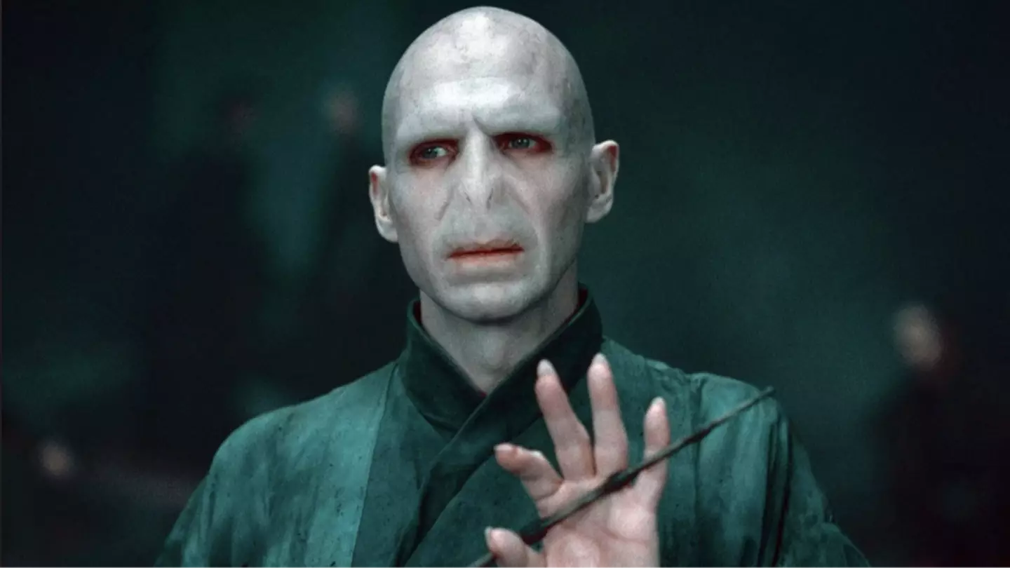 Harry Potter fans torn over Voldemort recasting we all missed