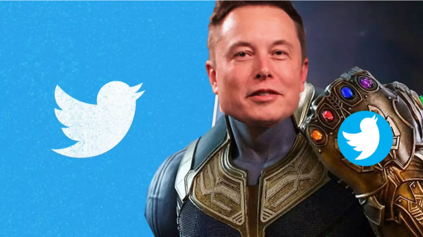 Elon Musk backtracks on quitting Twitter after losing poll