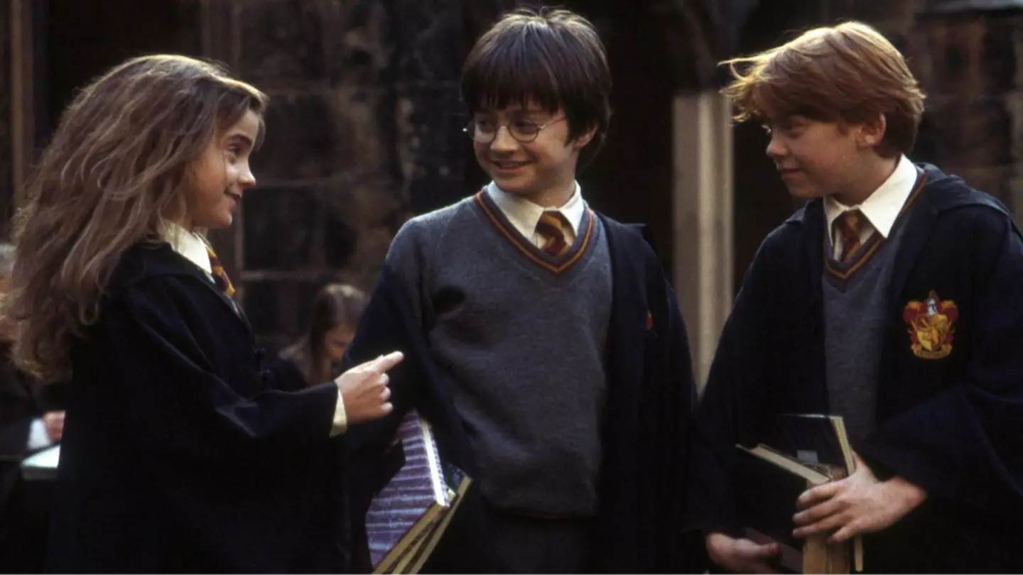 Harry Potter golden trio casting has fans saying one thing: 'protect them'
