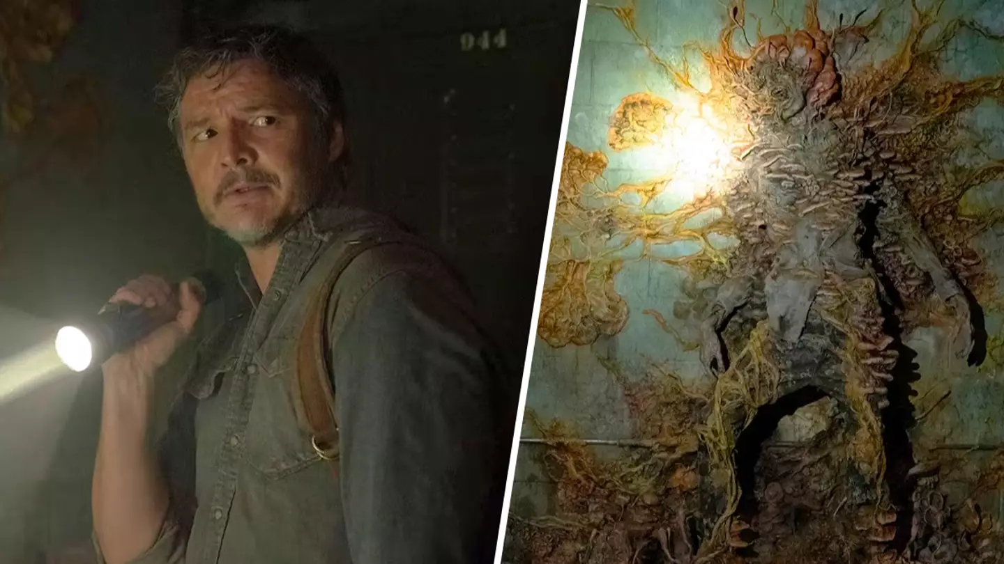 The Last Of Us fans horrified as fungus-infected spiders discovered in Scotland