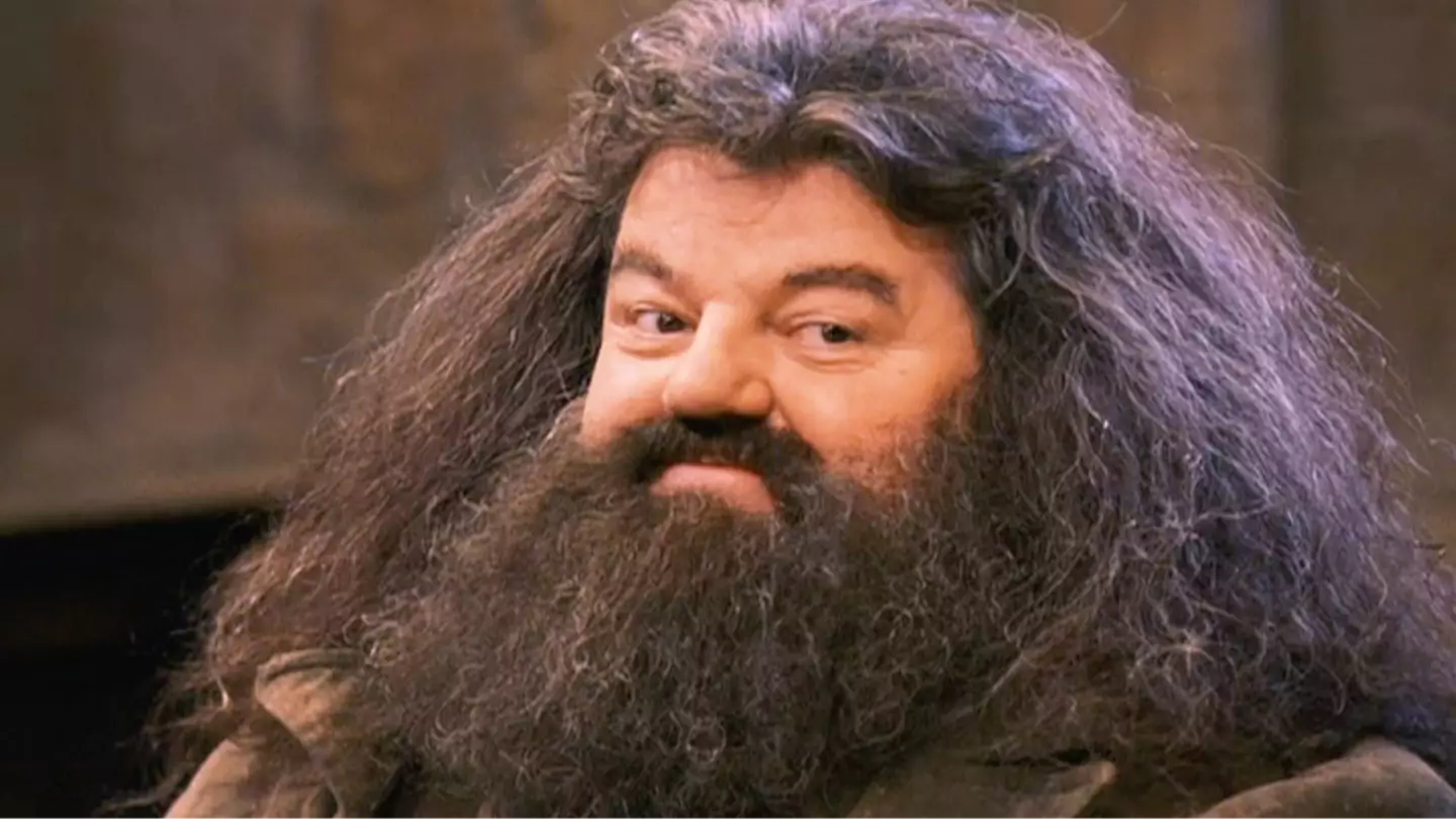 Harry Potter HBO series has found its Hagrid, and you'll be very pleased