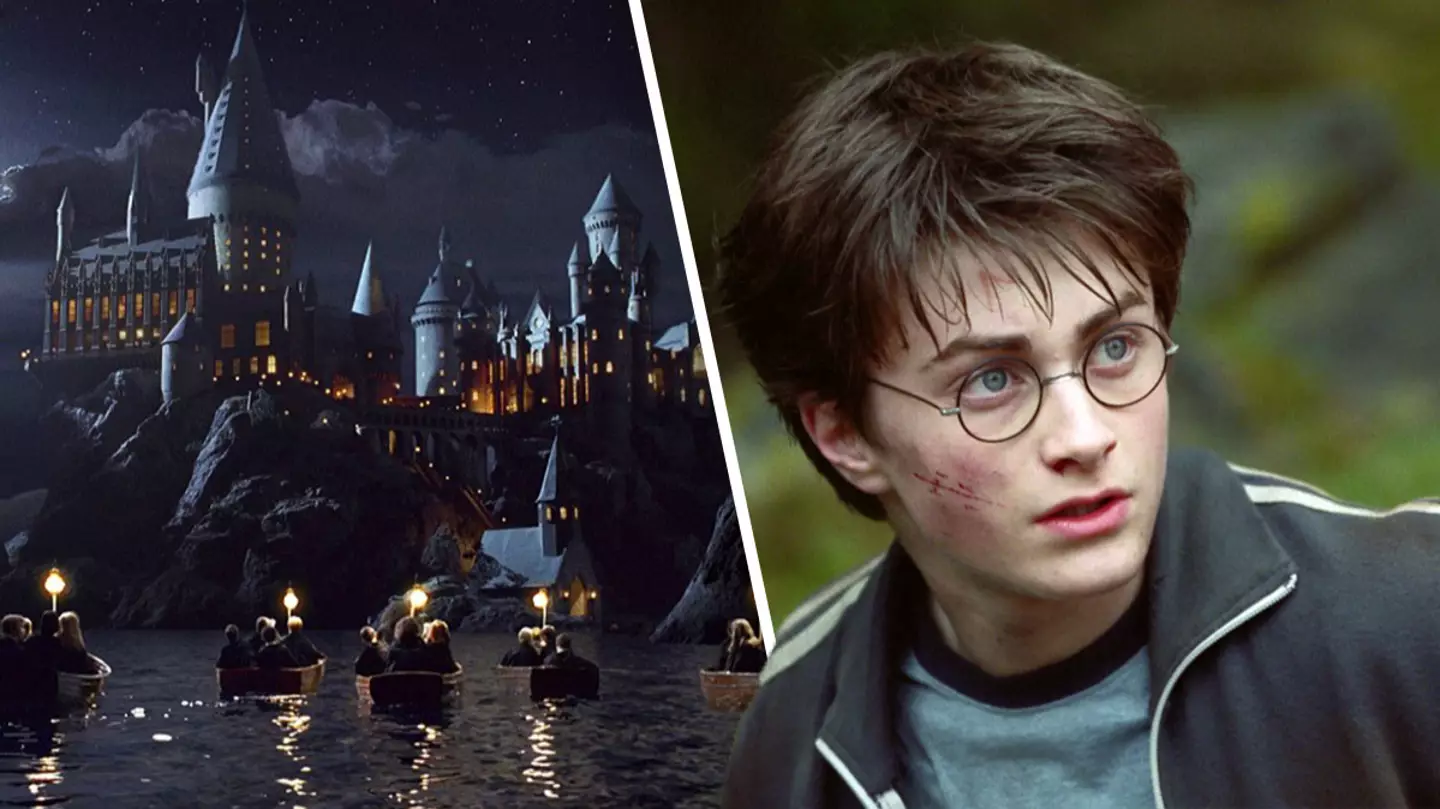 Harry Potter star Daniel Radcliffe reveals which instalment he finds 'hard to watch'