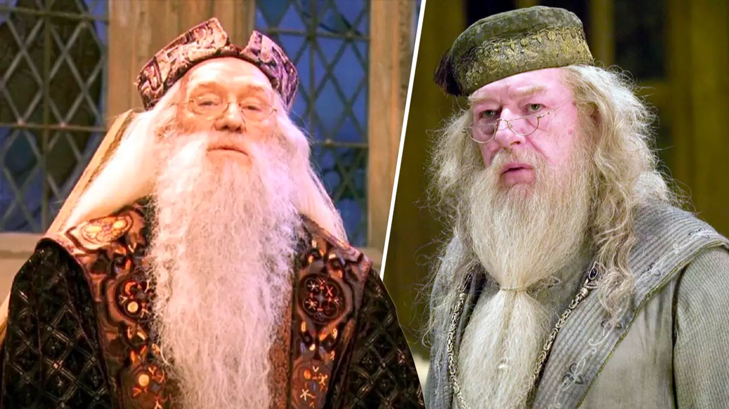 Harry Potter fans united over our new Dumbledore for HBO reboot