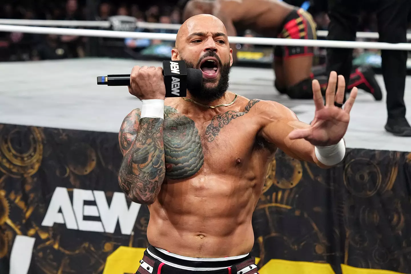 Ricochet at AEW Full Gear 2025, All Elite Wrestling