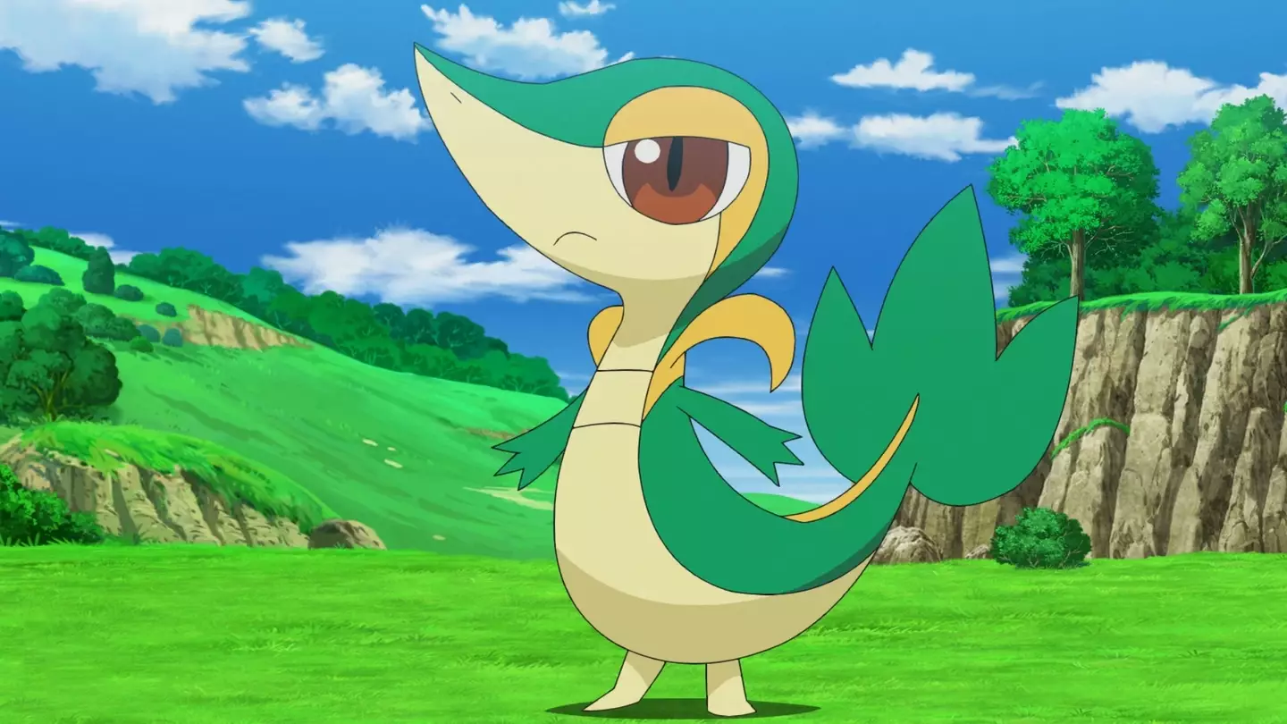 The Pokémon Company International