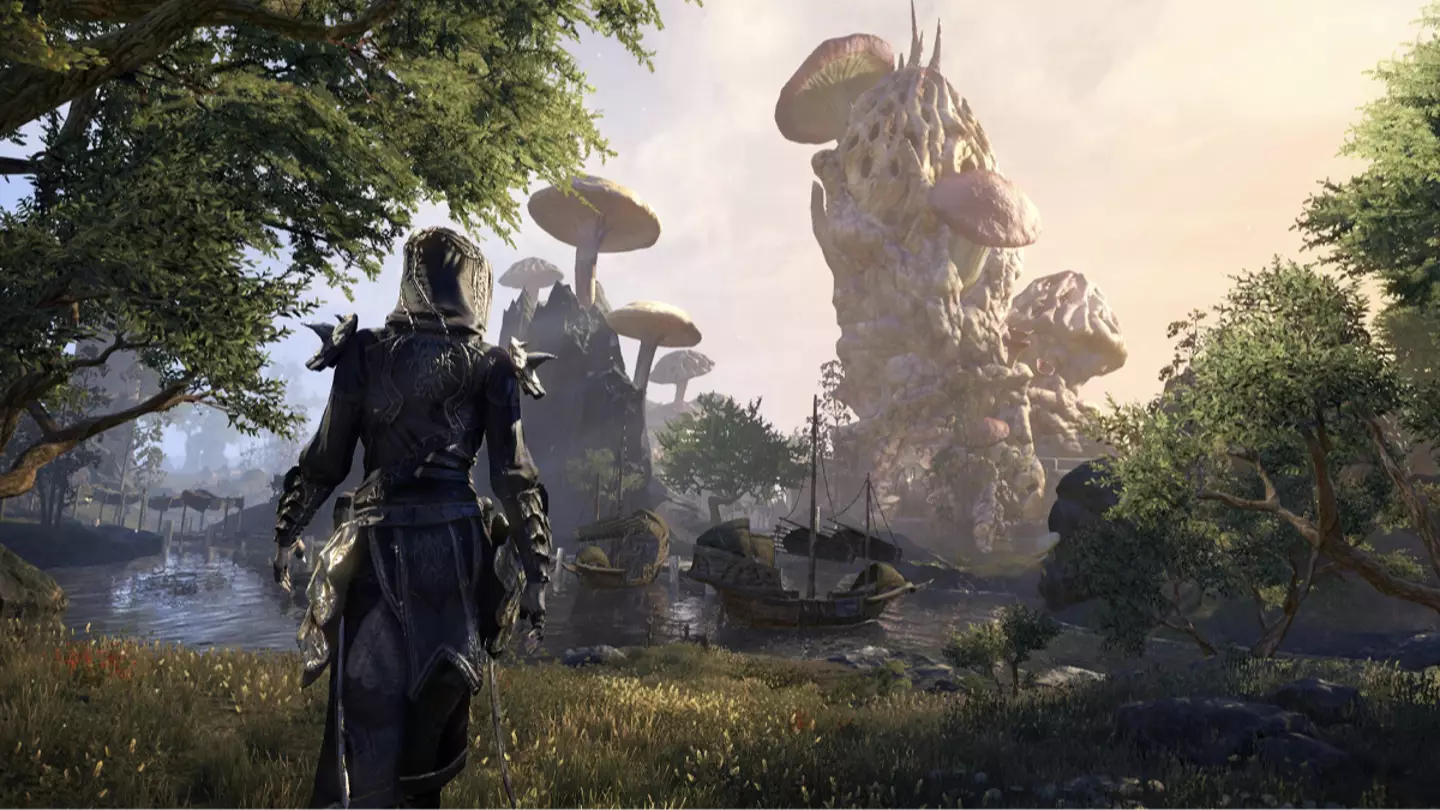 The Elder Scrolls 6 delay leaves fans torn