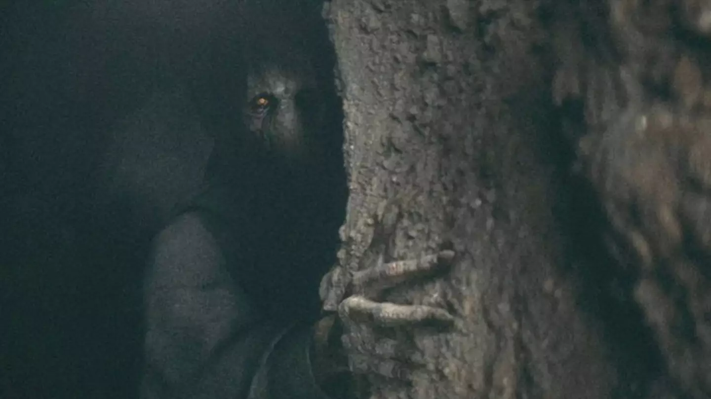 Star Wars fans hail Darth Plagueis prequel as 'masterpiece'