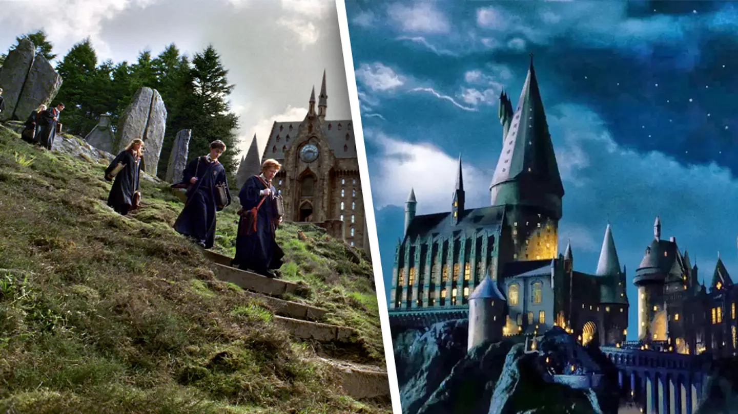 Harry Potter fans united over bringing back movie actors for TV series