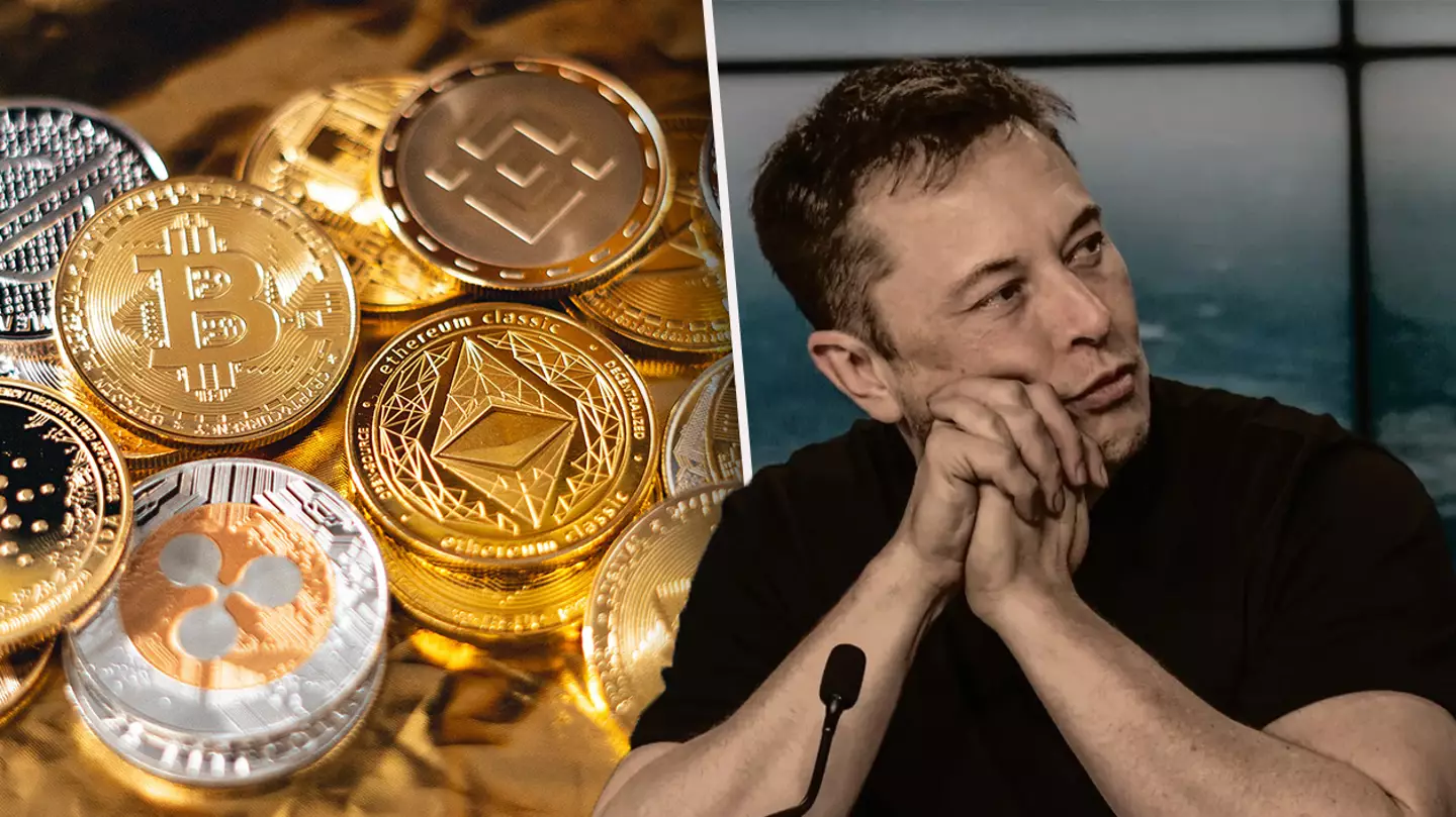 Elon Musk Is Being Sued For $258 Billion Over Alleged Dogecoin Pyramid Scheme