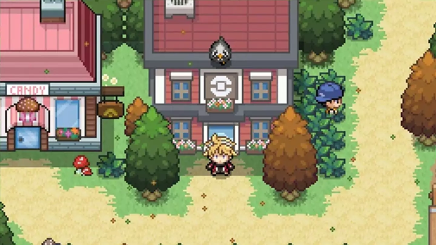 Project Vanguard Team