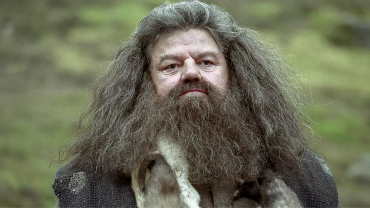 Harry Potter HBO leaked Hagrid casting praised by fans
