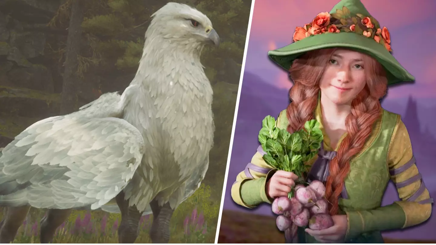 Hogwarts Legacy's first big update has left players divided